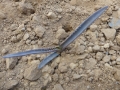 Aloe teissieri