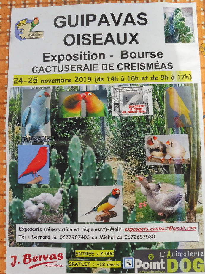 Bourse aux oiseaux à la cactuseraie