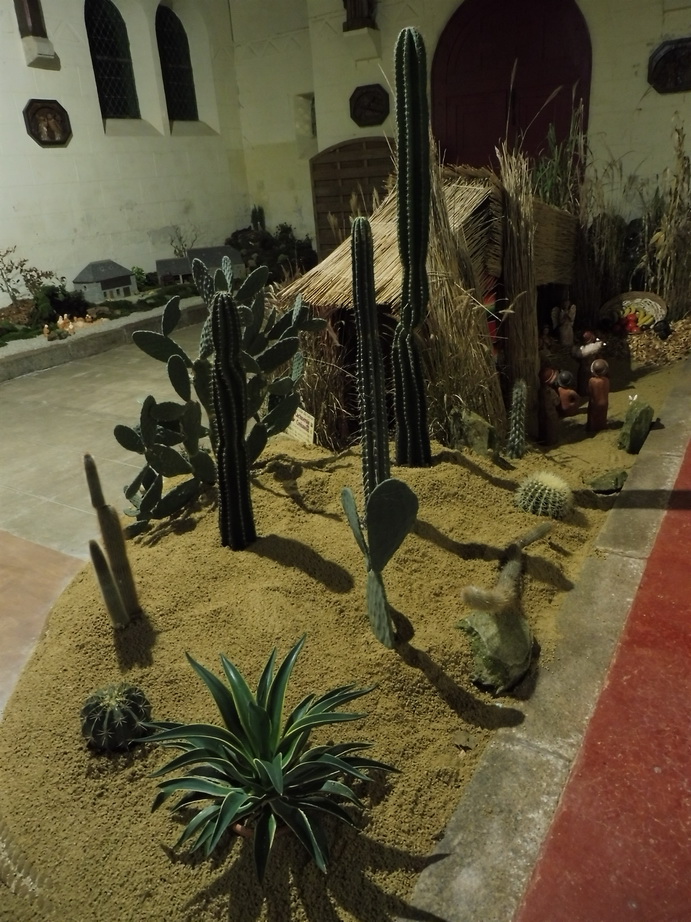 Décor de crêche du Pérou à Saint Jacques à Guiclan ( 29 )