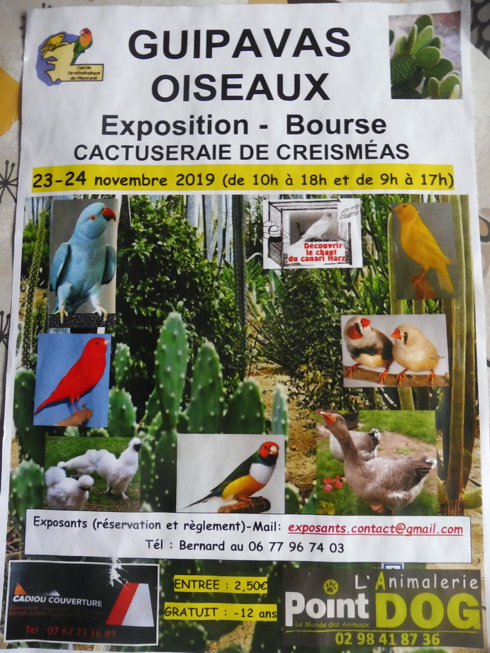 Bourse aux oiseaux à la cactuseraie le 23 et 24 novembre 2019