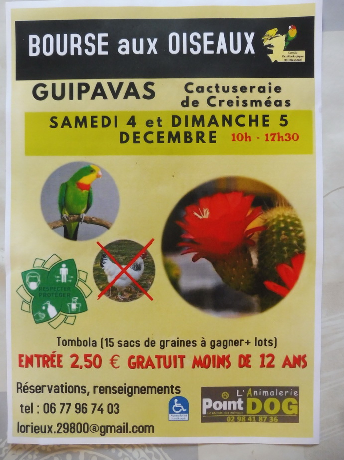 Bourse aux oiseaux 2021